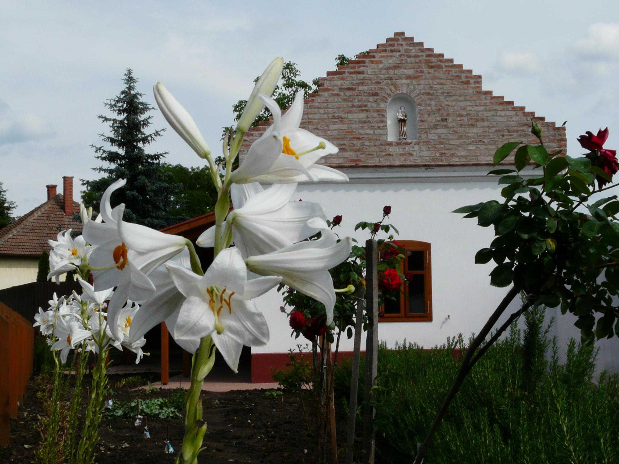 Szent Antal Sütőház